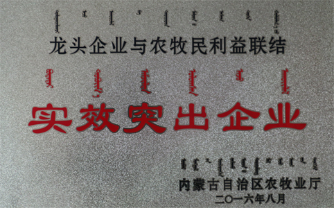 東達(dá)集團榮獲“實績突出企業(yè)”殊榮