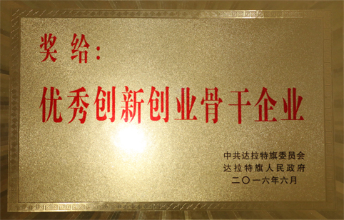 東達(dá)集團榮獲“優(yōu)秀創(chuàng)新創(chuàng)業(yè)骨干企業(yè)”稱號